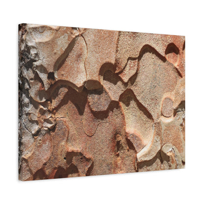 Terracotta Echoes - Unique Frameless Canvas Wall Art - Art By Earth