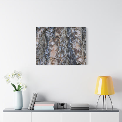 Arboreal Patterns - Unique Frameless Canvas Wall Art - Art By Earth
