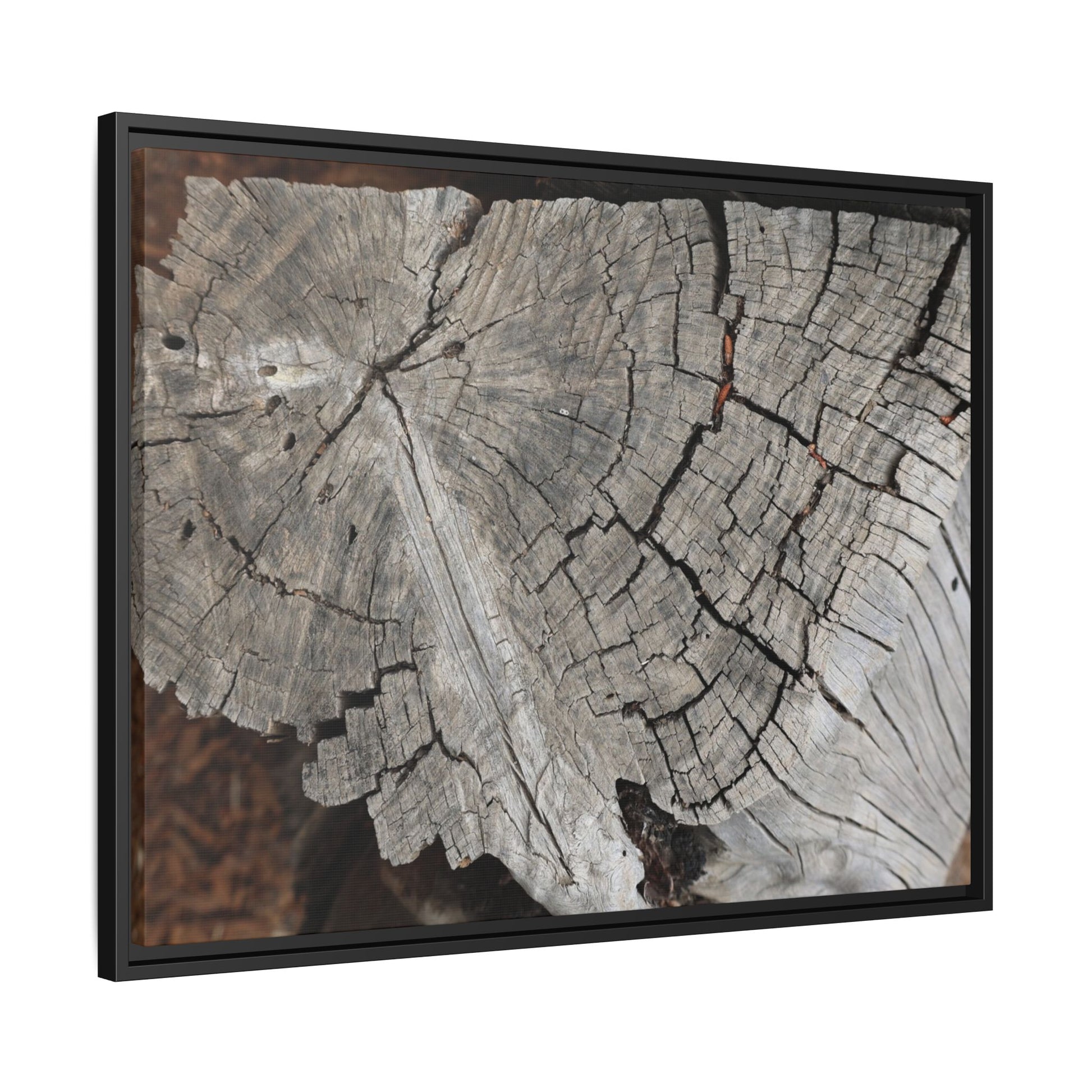 Time's Signature - Unique Stretched Canvas Wall Art - Art By Earth