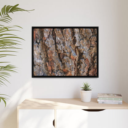 Craggy Textures - Unique Stretched Canvas Wall Art - Art By Earth