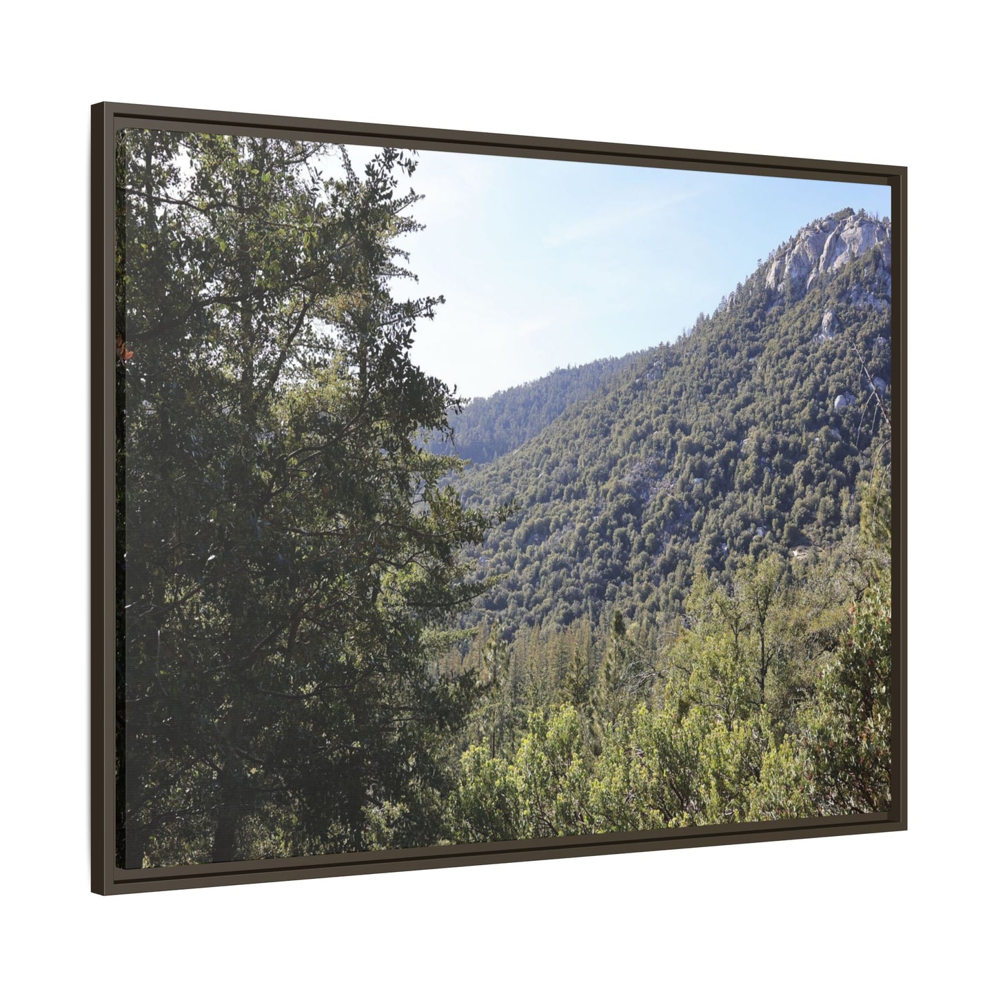 Mountain Valley Forest - Unique Stretched Canvas Wall Art
