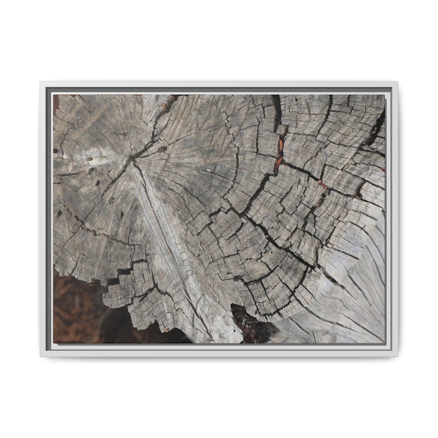 Time's Signature - Unique Stretched Canvas Wall Art - Art By Earth