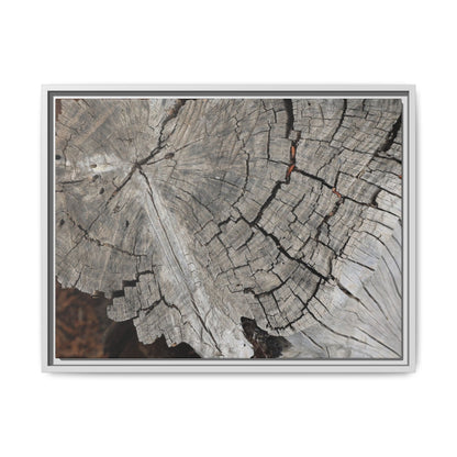 Time's Signature - Unique Stretched Canvas Wall Art - Art By Earth