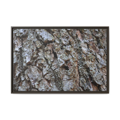 Woodland Canvas - Unique Stretched Canvas Wall Art - Art By Earth