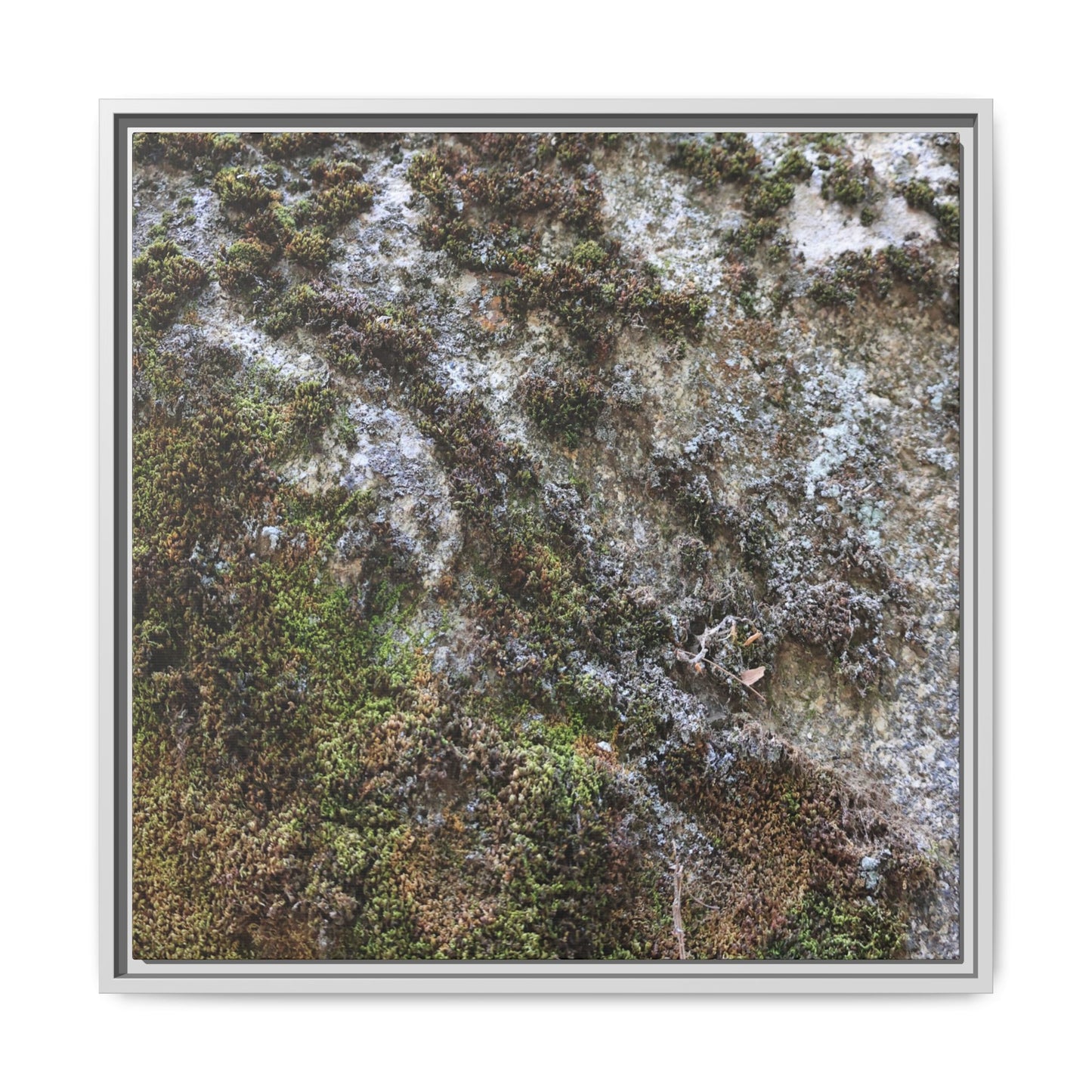 Mossy Whispers - Unique Stretched Canvas Wall Art - Art By Earth