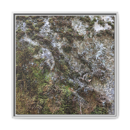 Mossy Whispers - Unique Stretched Canvas Wall Art - Art By Earth