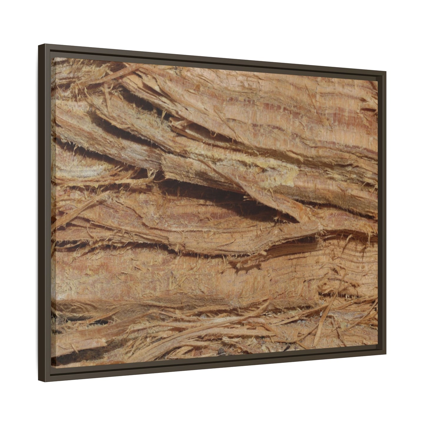 Splintered Bark - Unique Stretched Canvas Wall Art - Art By Earth