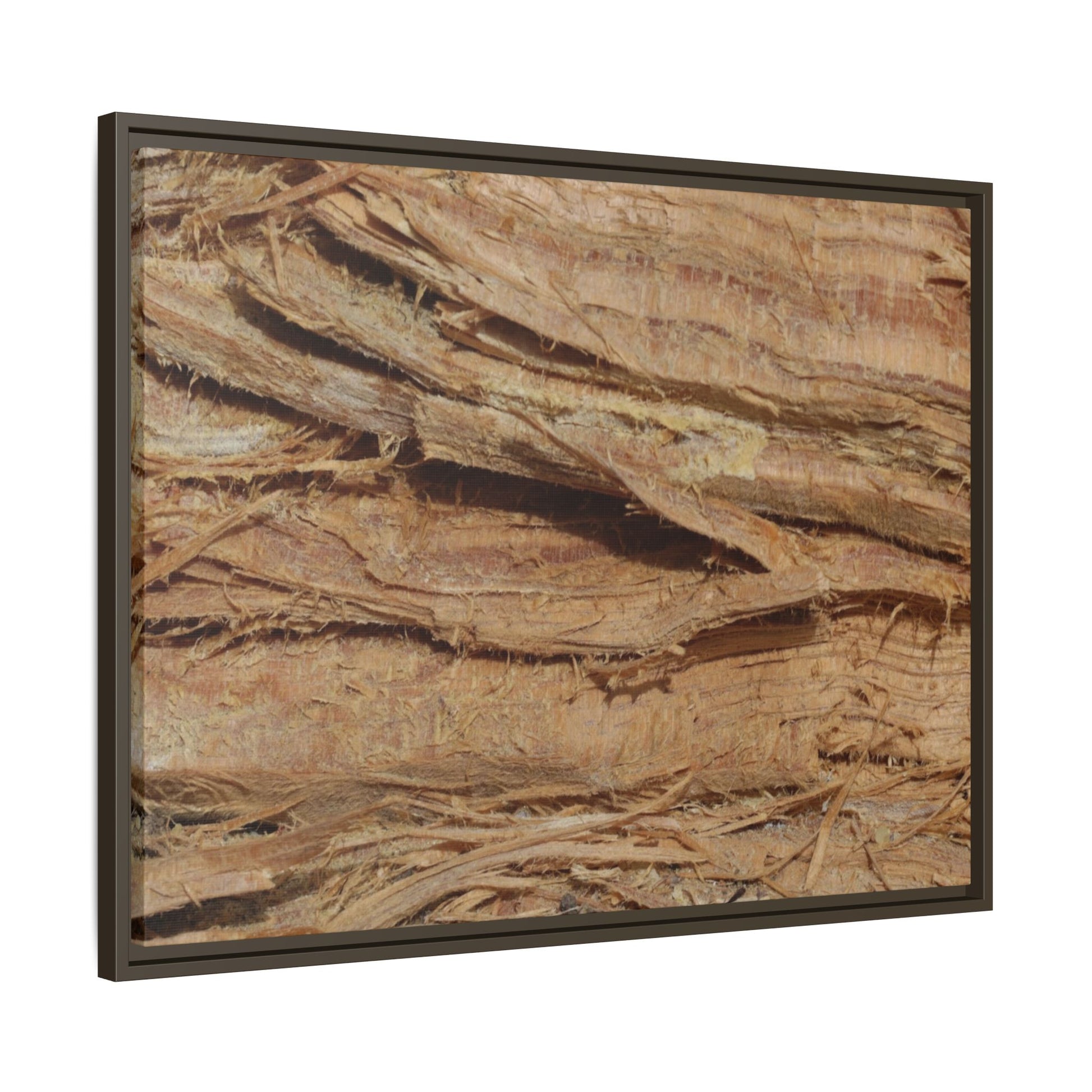 Splintered Bark - Unique Stretched Canvas Wall Art - Art By Earth
