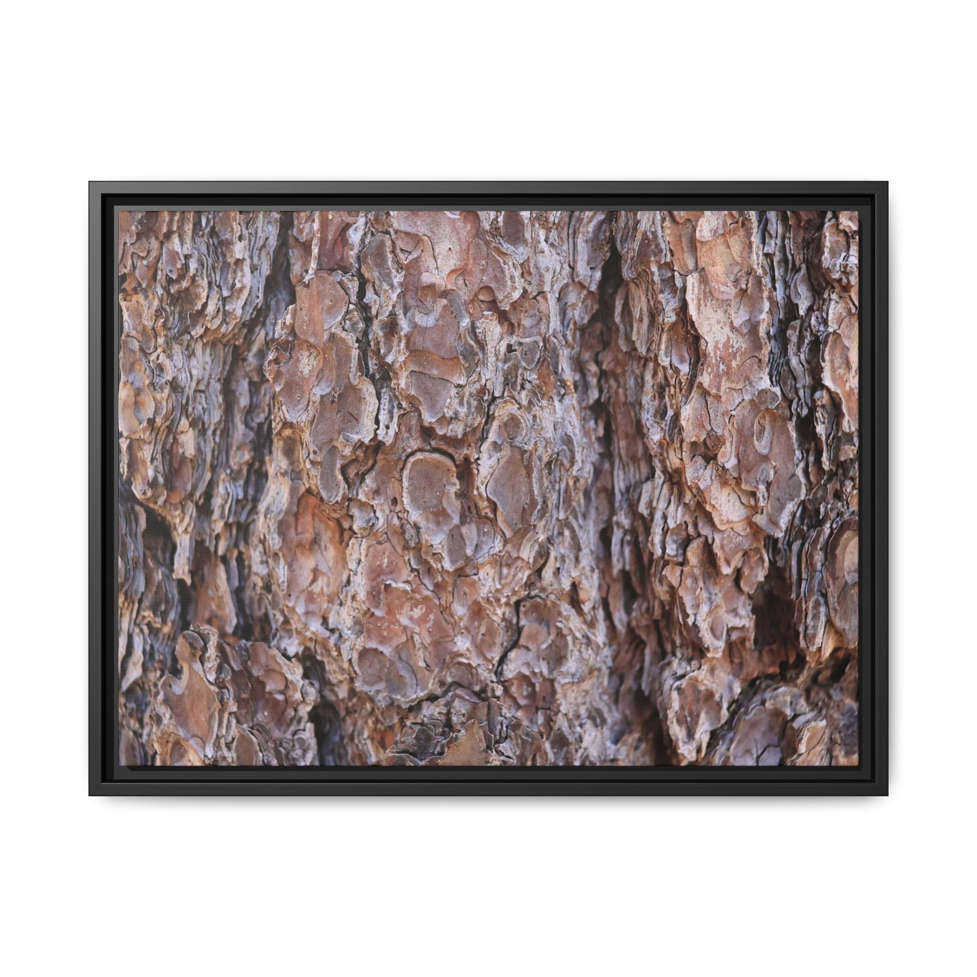 Woody Layers - Unique Stretched Canvas Wall Art - Art By Earth