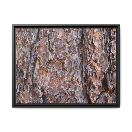 Woody Layers - Unique Stretched Canvas Wall Art - Art By Earth