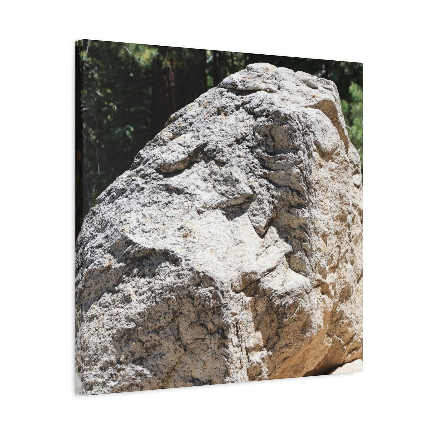 Stone of Solitude - Unique Frameless Canvas Wall Art - Art By Earth