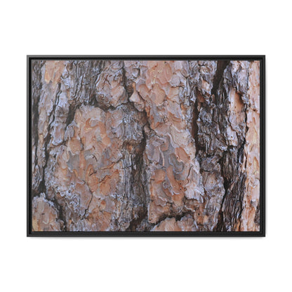 Tree Skin Symphony - Unique Stretched Canvas Wall Art - Art By Earth