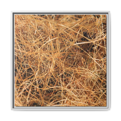 Dried Grass - Unique Stretched Canvas Wall Art - Art By Earth