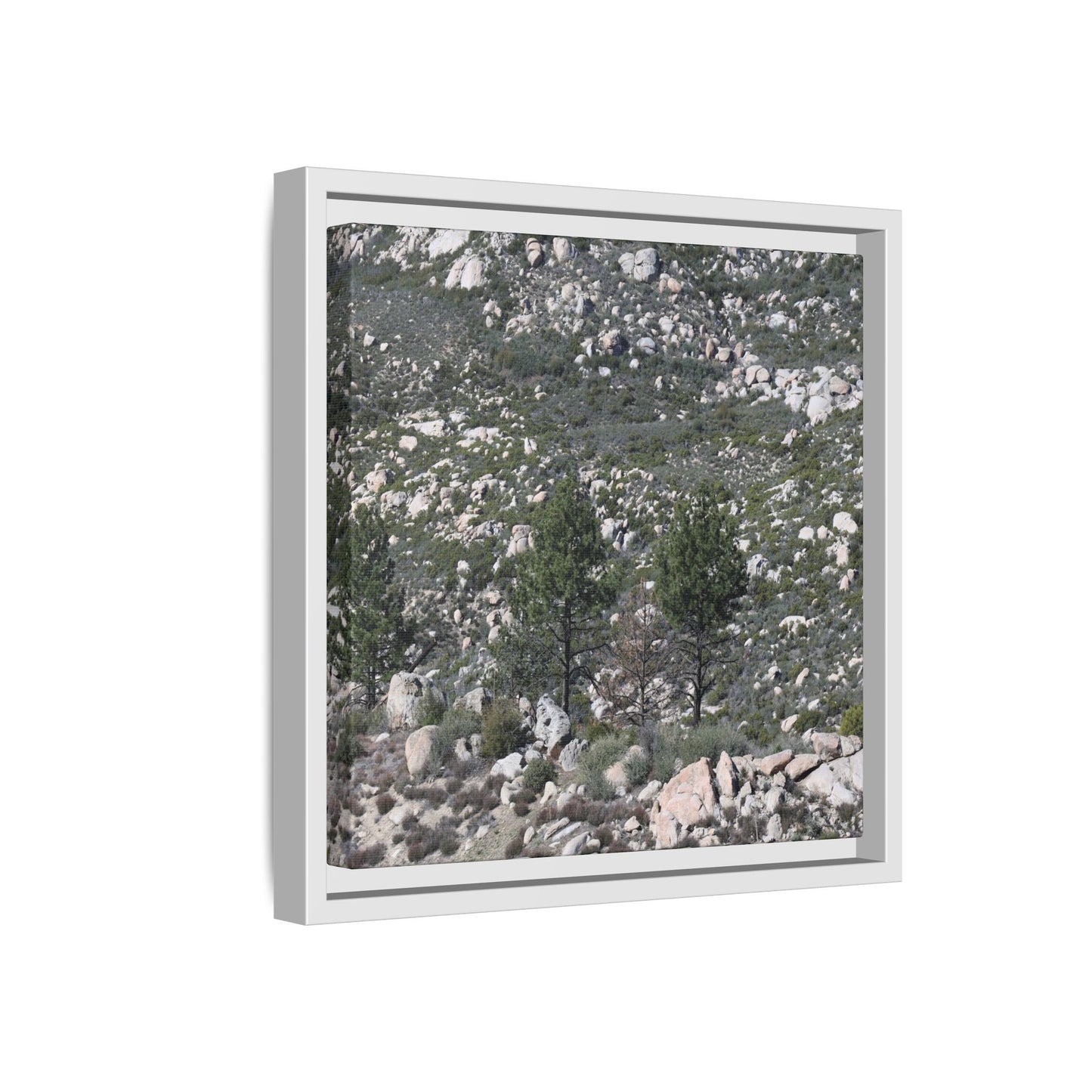 Rocky Hillside with Pine Trees - Unique Stretched Canvas Wall Art - Art By Earth