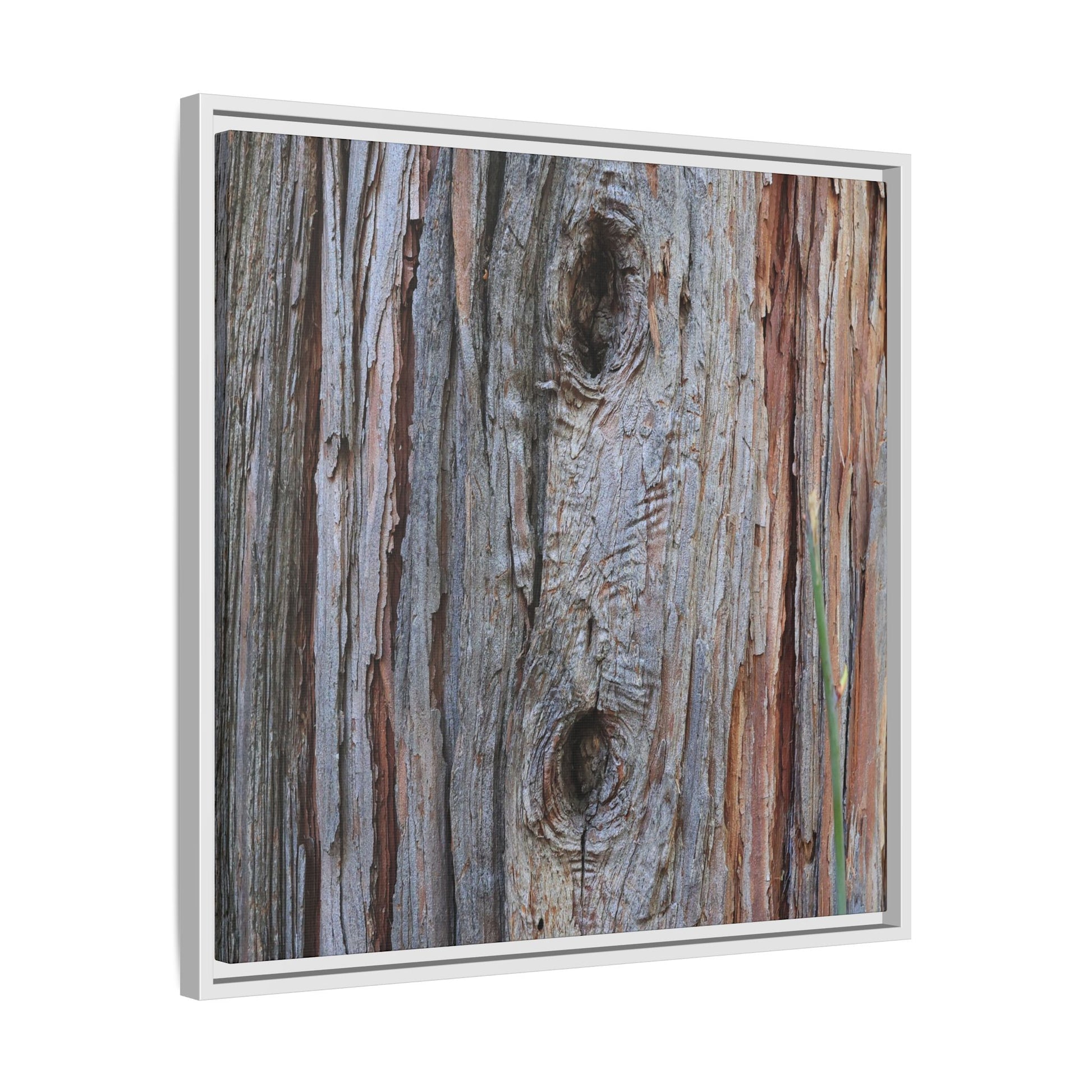 Knotty Nature - Unique Stretched Canvas Wall Art - Art By Earth