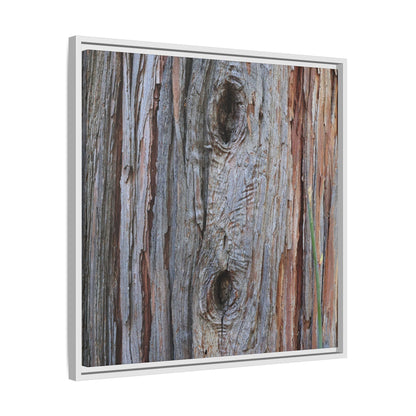 Knotty Nature - Unique Stretched Canvas Wall Art - Art By Earth