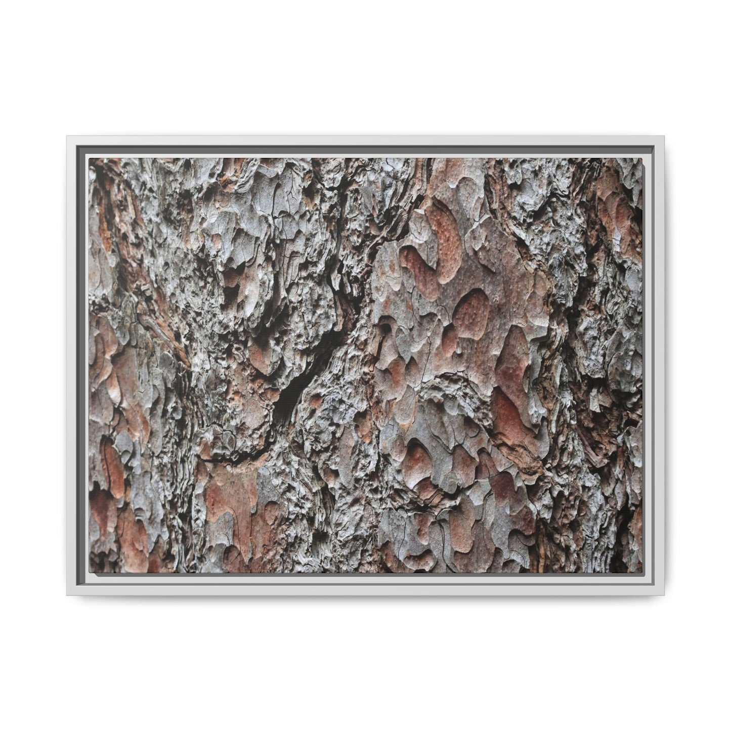 Bark Texture Symphony - Unique Stretched Canvas Wall Art - Art By Earth