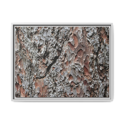 Bark Texture Symphony - Unique Stretched Canvas Wall Art - Art By Earth