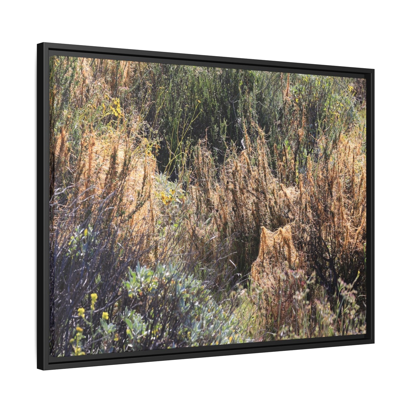 Drought-Stricken Landscape - Unique Stretched Canvas Wall Art - Art By Earth