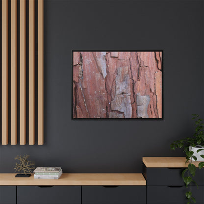 Peeling Bark - Unique Stretched Canvas Wall Art - Art By Earth
