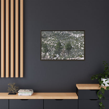 Rocky Hillside with Pine Trees - Unique Stretched Canvas Wall Art - Art By Earth