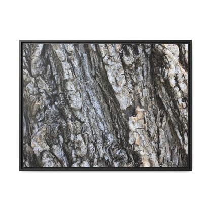 Twisted Textures - Unique Stretched Canvas Wall Art - Art By Earth