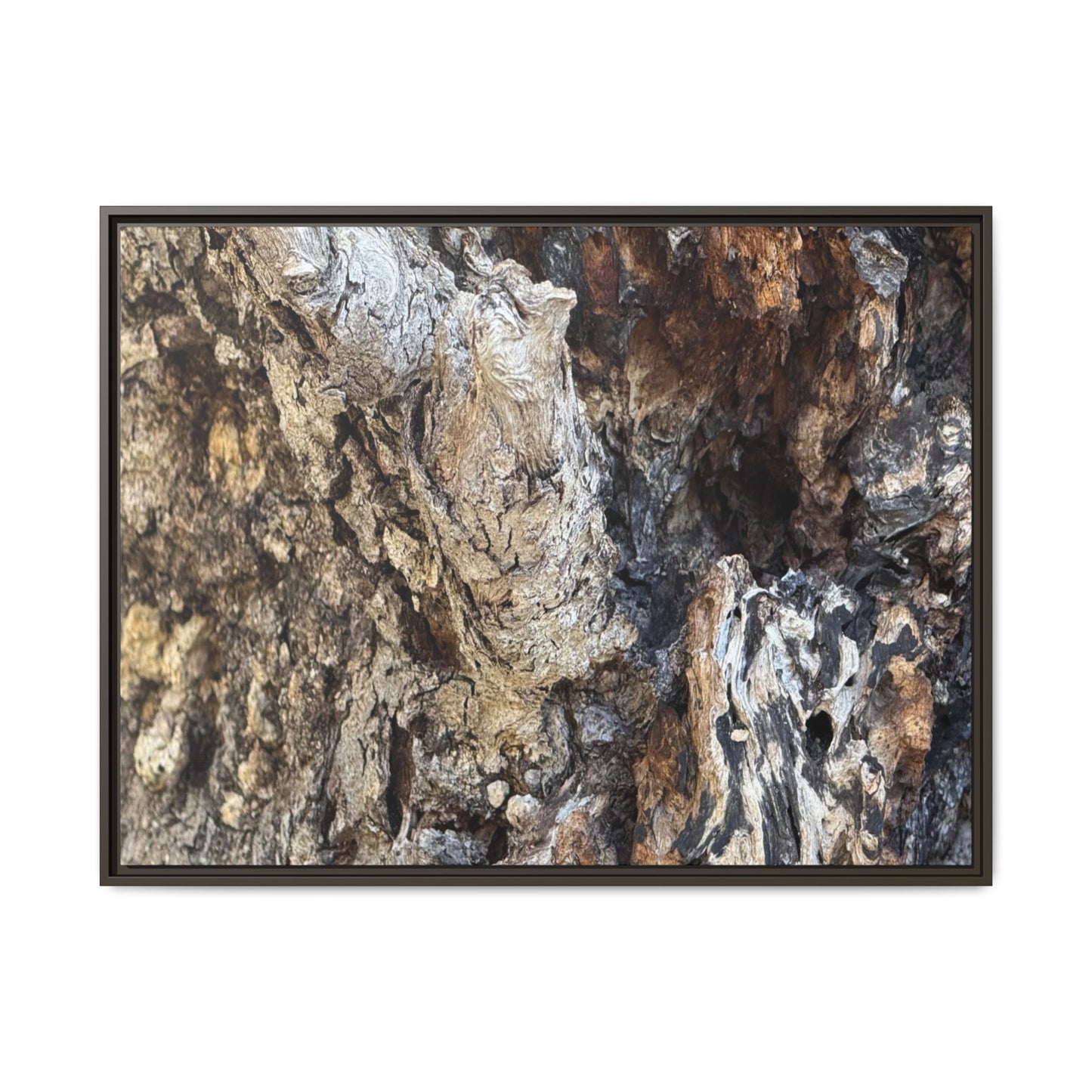 Ancient Tree Texture - Unique Stretched Canvas Wall Art - Art By Earth