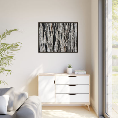 Bark Lines - Unique Stretched Canvas Wall Art - Art By Earth