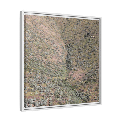 Mountain Slope with Desert Vegetation - Unique Stretched Canvas Wall Art - Art By Earth