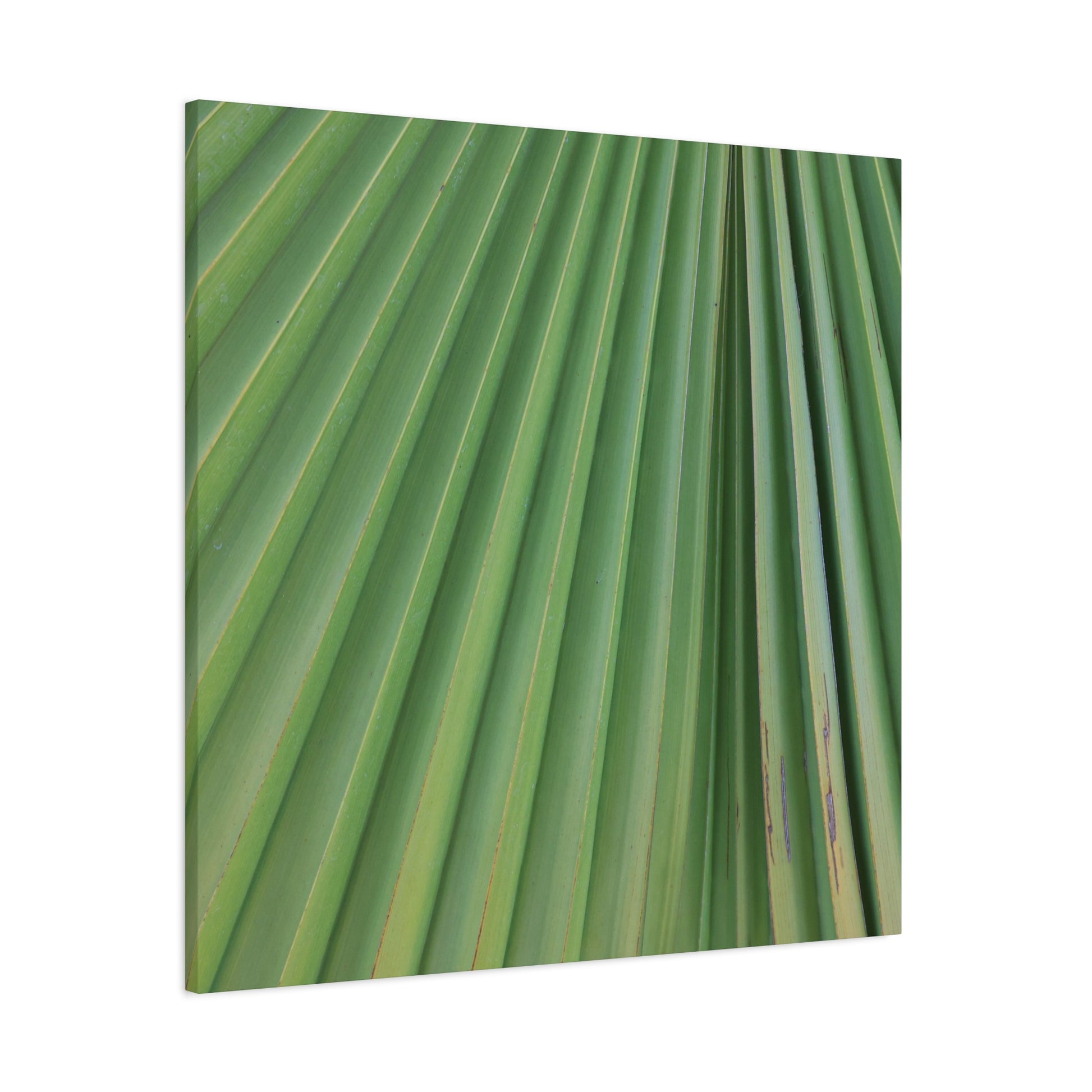 Palm Pulse - Unique Frameless Canvas Wall Art - Art By Earth