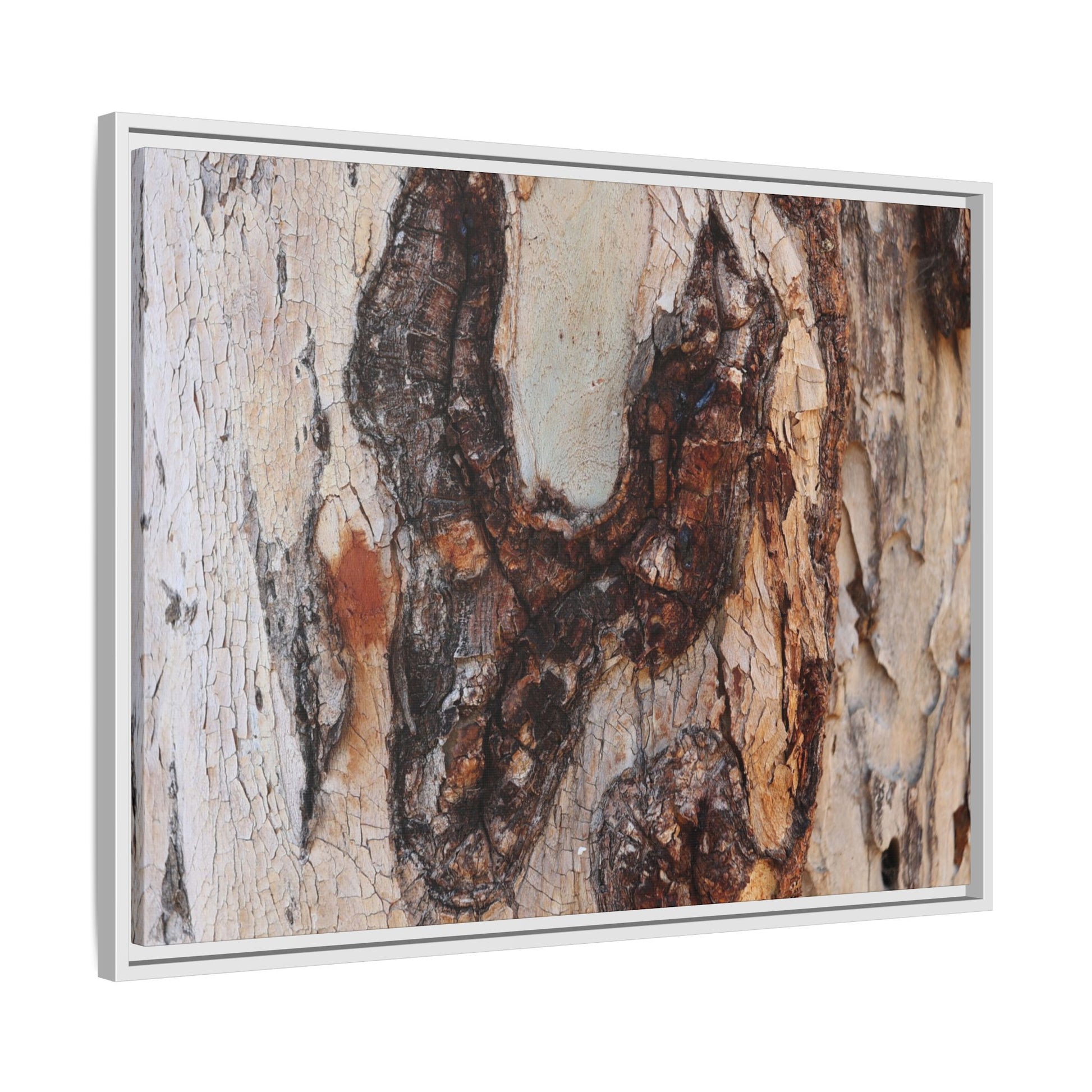 Texture of Time - Unique Stretched Canvas Wall Art - Art By Earth