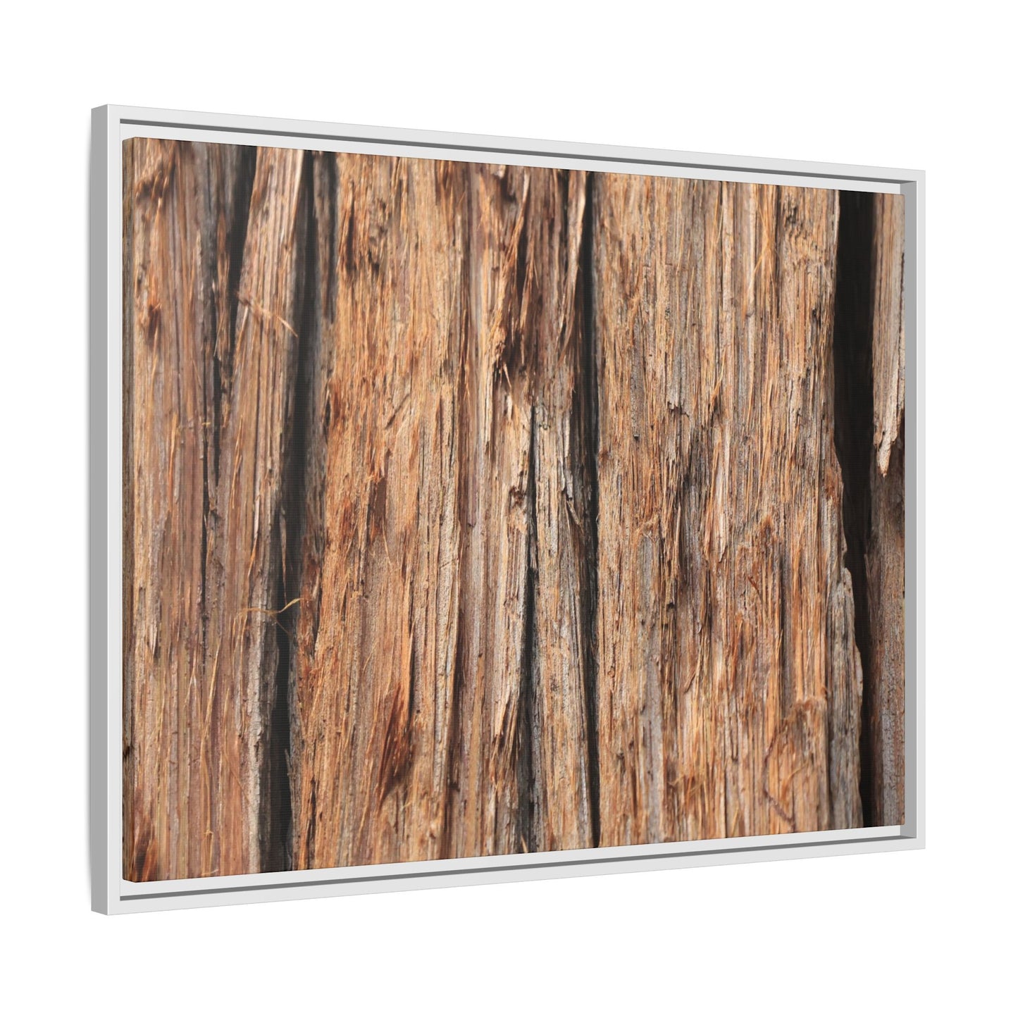 Timber Echoes - Unique Stretched Canvas Wall Art - Art By Earth