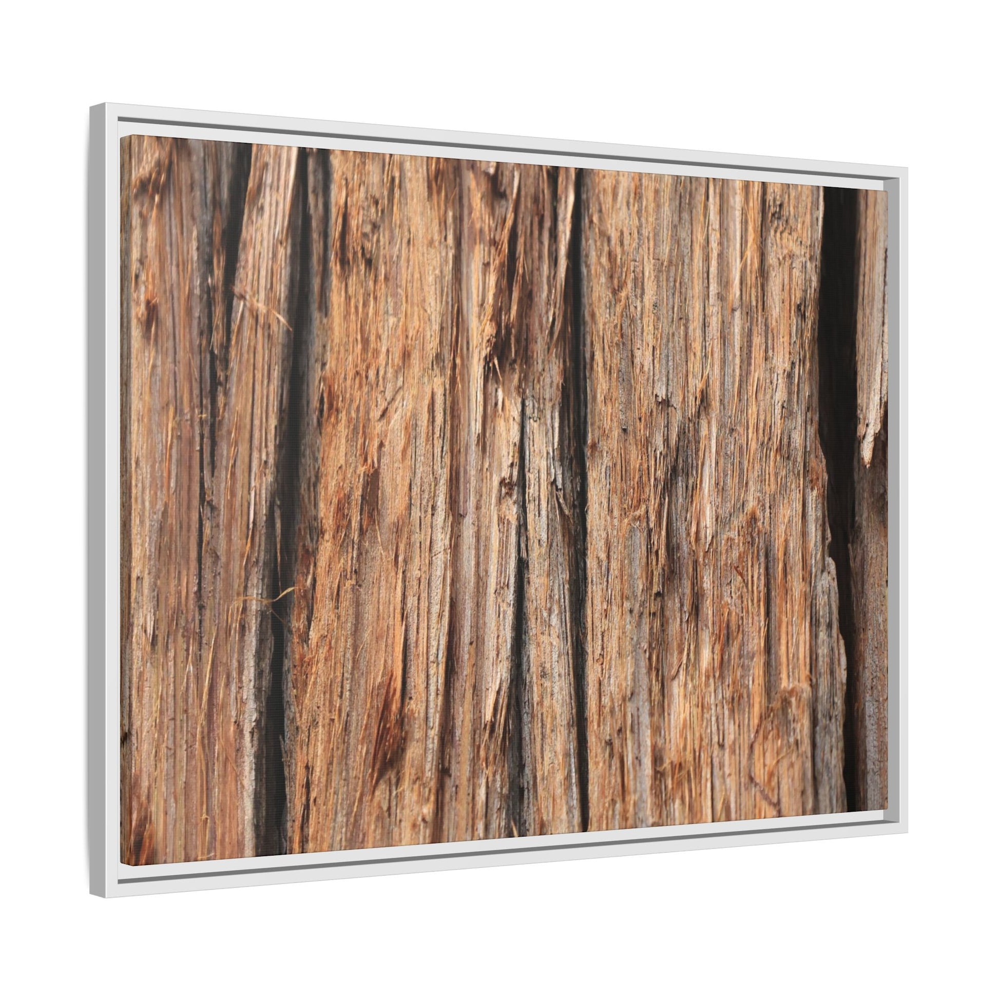 Timber Echoes - Unique Stretched Canvas Wall Art - Art By Earth