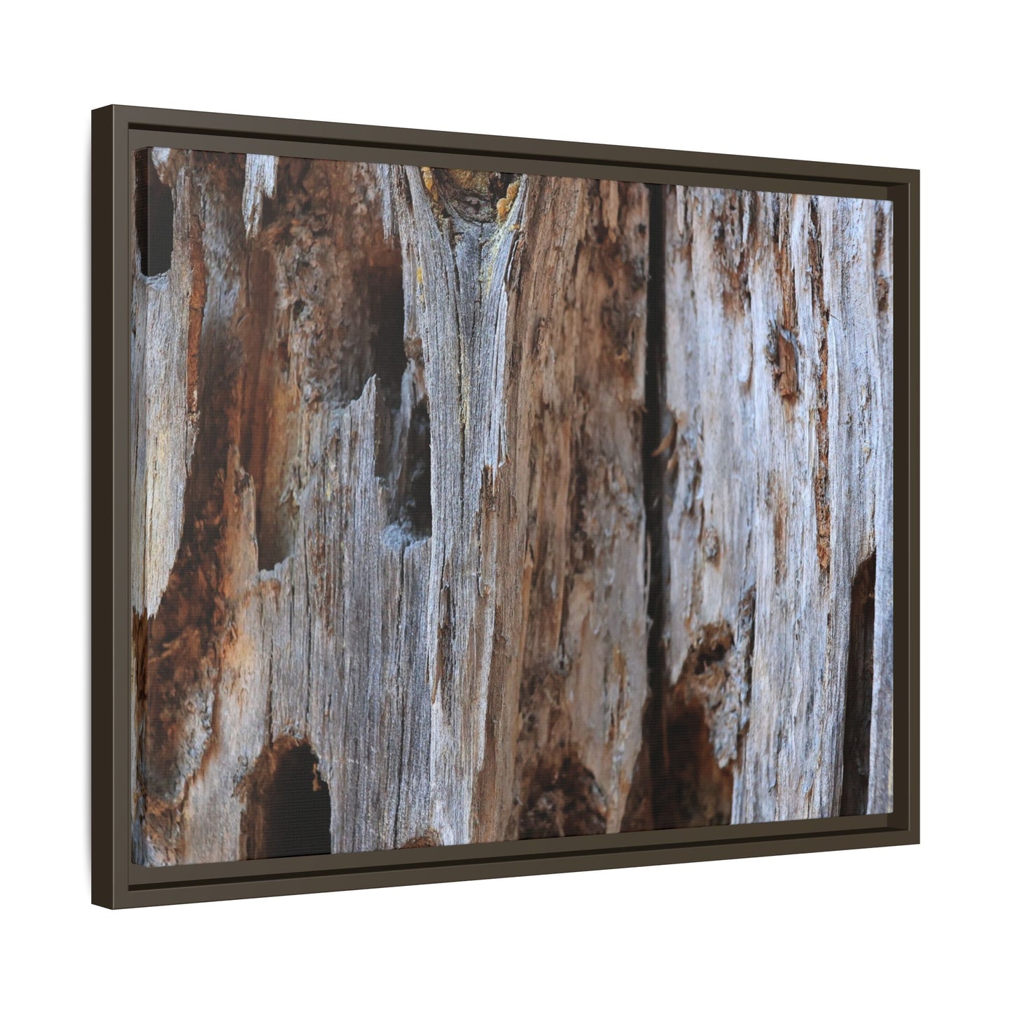 Decaying Splendor - Unique Stretched Canvas Wall Art - Art By Earth