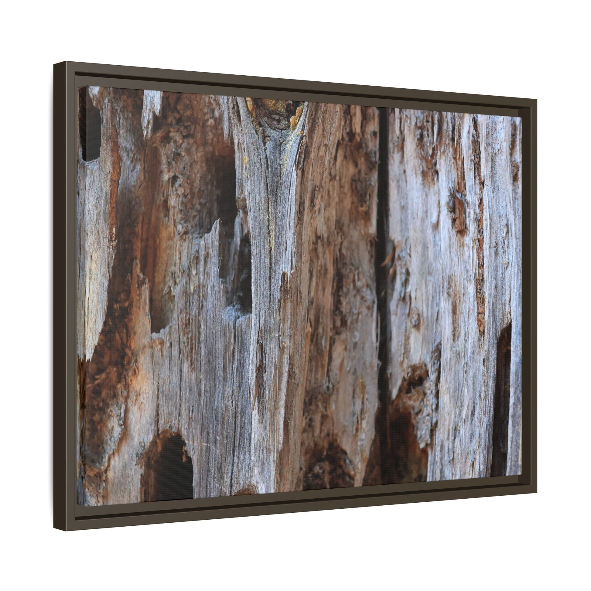 Decaying Splendor - Unique Stretched Canvas Wall Art - Art By Earth