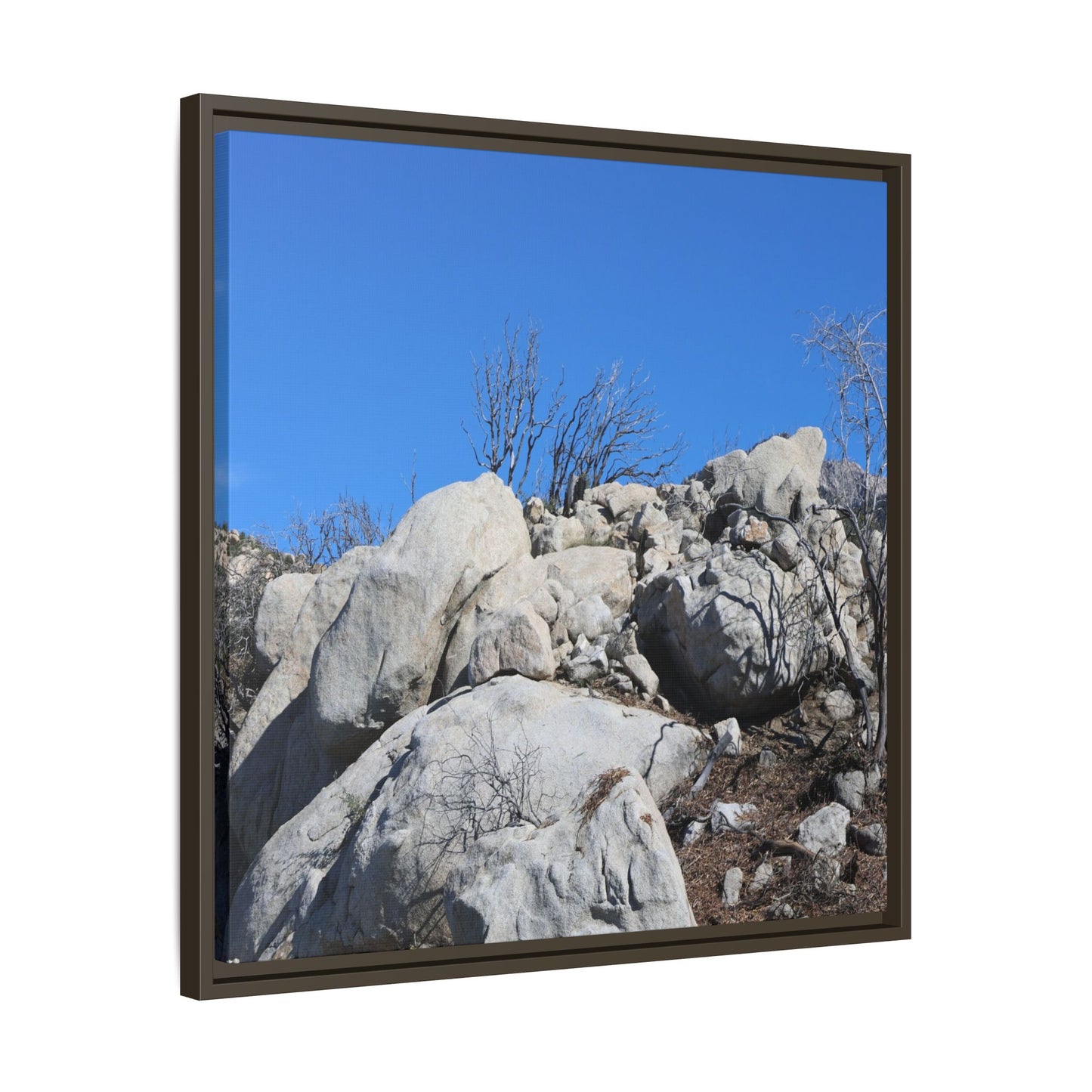 Barren Landscape with Boulder Formations - Unique Stretched Canvas Wall Art - Art By Earth