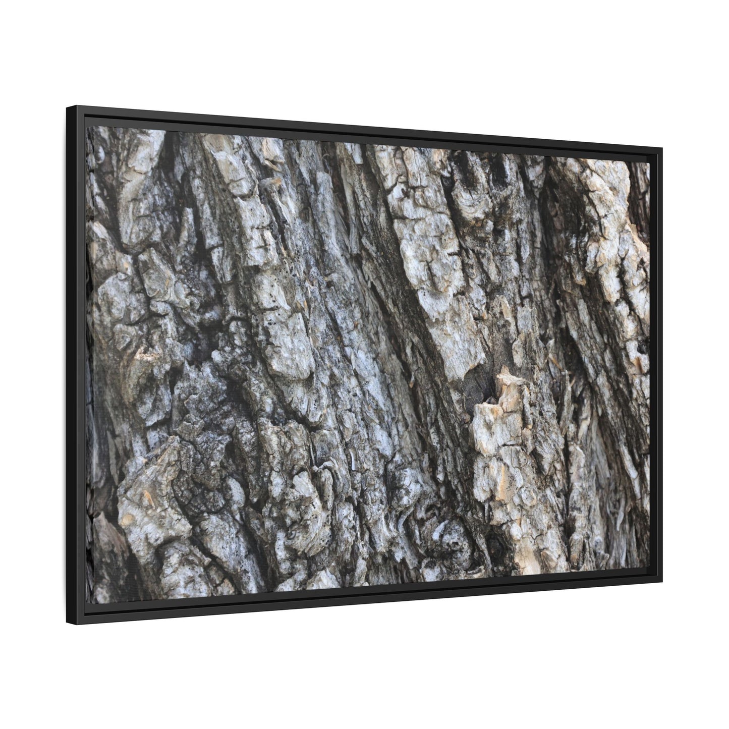 Twisted Textures - Unique Stretched Canvas Wall Art - Art By Earth