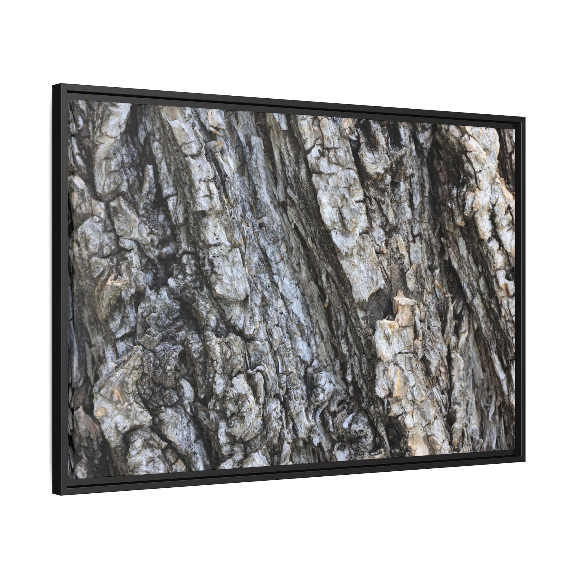 Twisted Textures - Unique Stretched Canvas Wall Art - Art By Earth