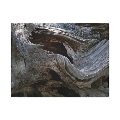 Twisted Fate - Unique Frameless Canvas Wall Art - Art By Earth