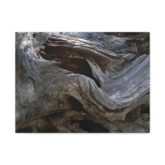 Twisted Fate - Unique Frameless Canvas Wall Art - Art By Earth