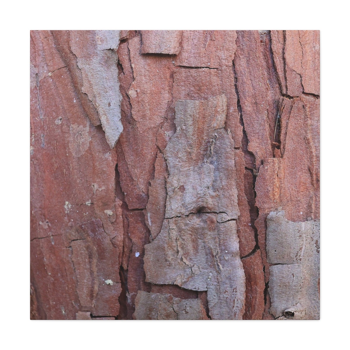 Fractal Rust - Unique Frameless Canvas Wall Art - Art By Earth