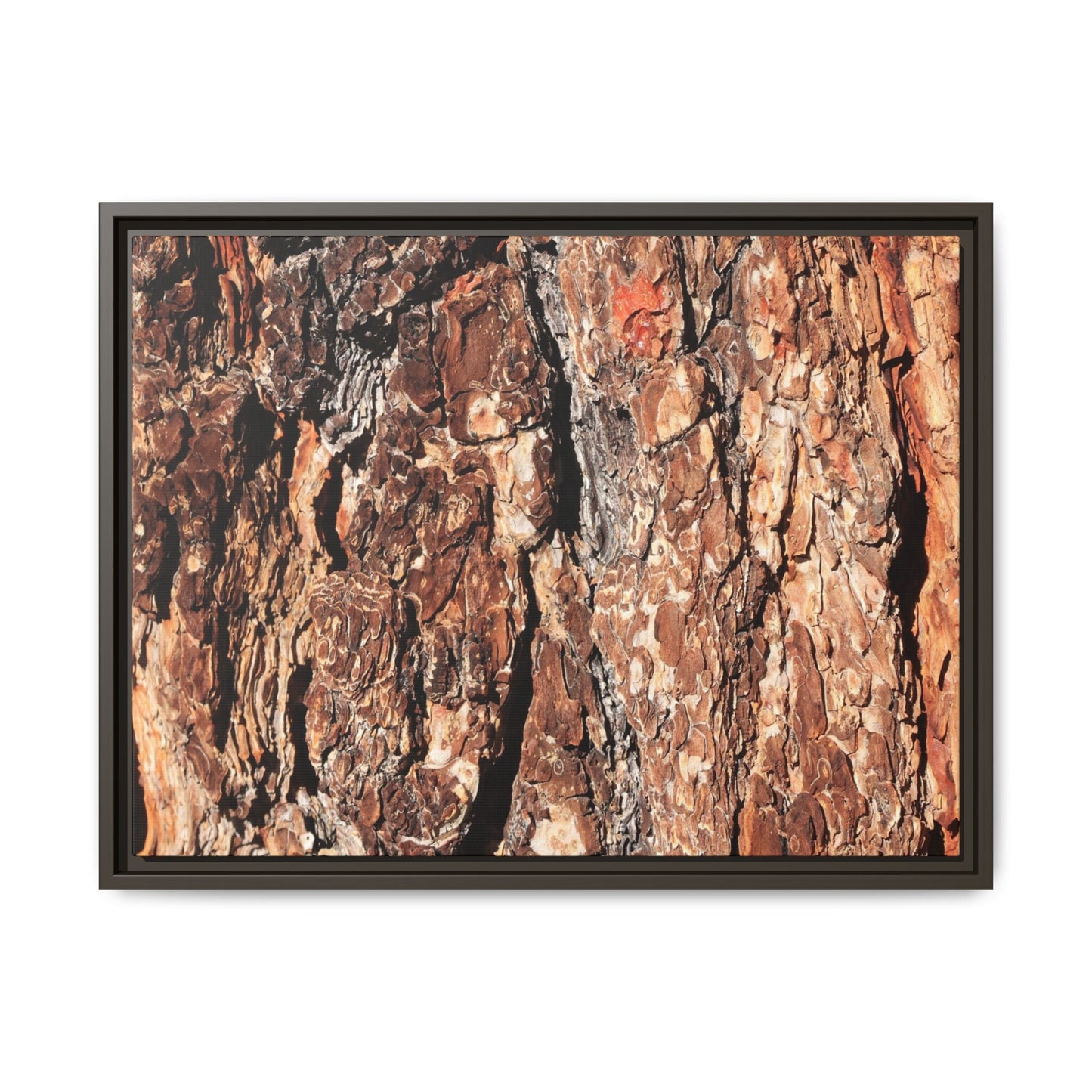 Nature's Rugged Canvas - Unique Stretched Canvas Wall Art