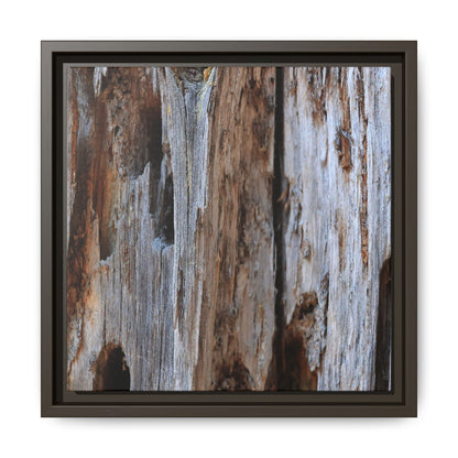 Decaying Splendor - Unique Stretched Canvas Wall Art - Art By Earth