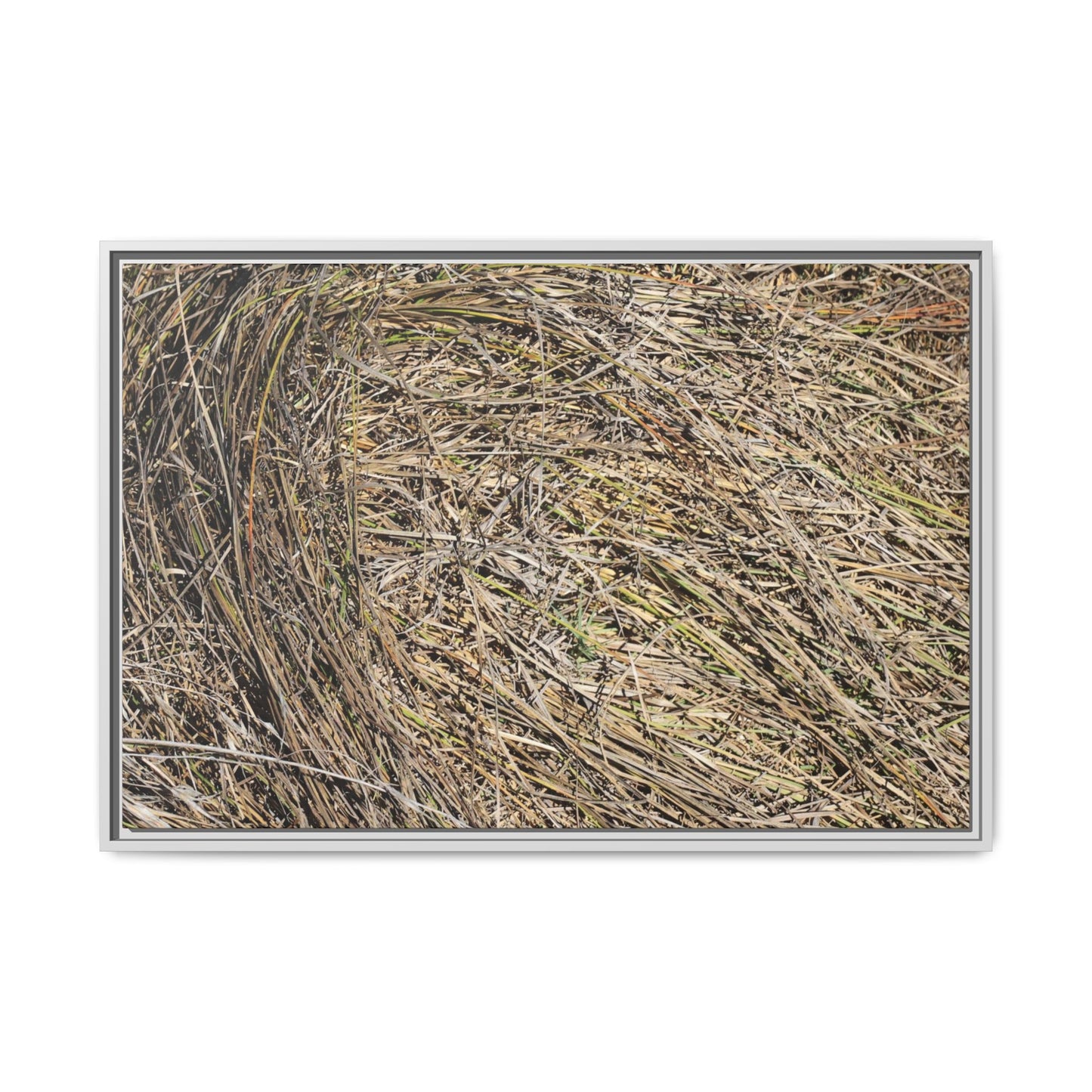 Tangled Grass Symphony - Unique Stretched Canvas Wall Art - Art By Earth