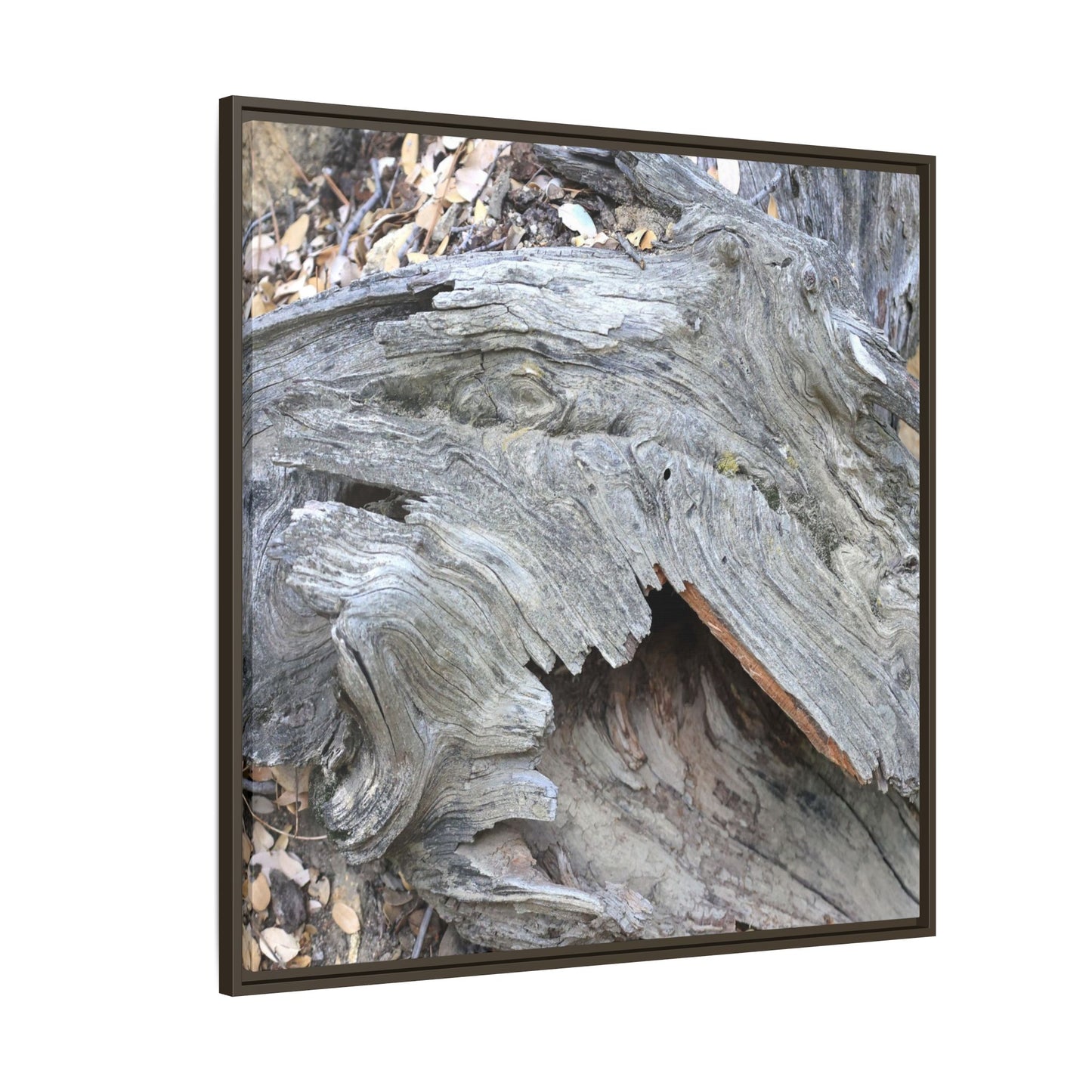 Driftwood Dreams - Unique Stretched Canvas Wall Art - Art By Earth