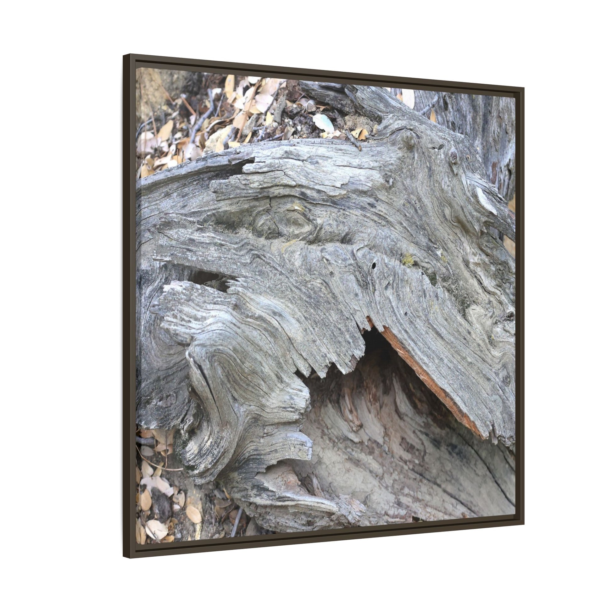 Driftwood Dreams - Unique Stretched Canvas Wall Art - Art By Earth