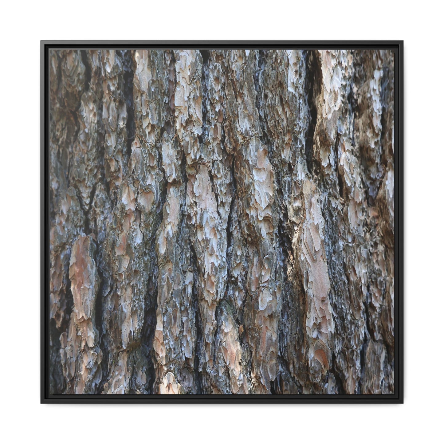 Bark Whispers - Unique Stretched Canvas Wall Art - Art By Earth