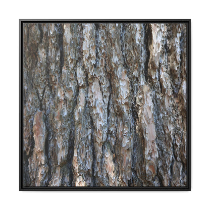 Bark Whispers - Unique Stretched Canvas Wall Art - Art By Earth
