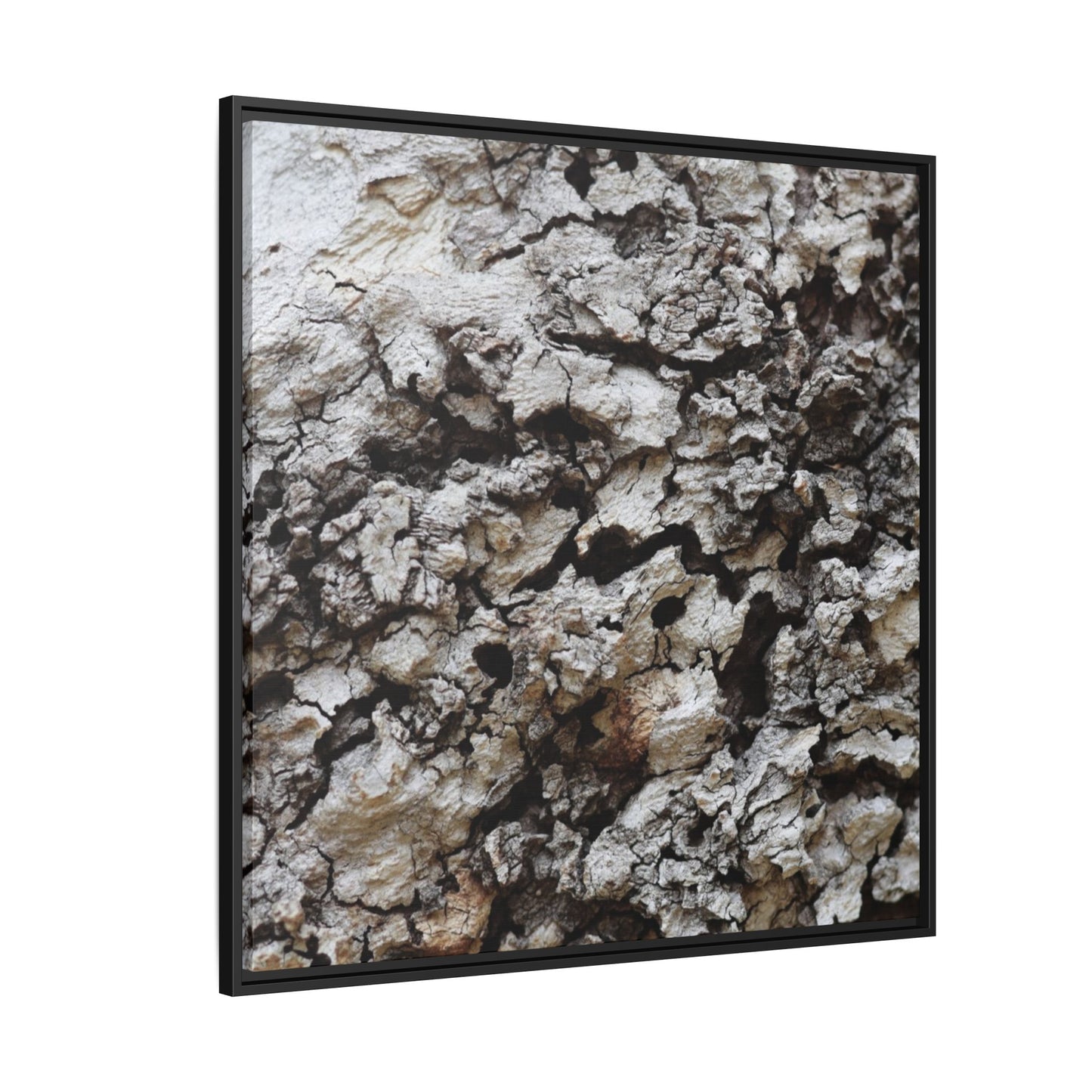 Cracked Terrain - Unique Stretched Canvas Wall Art - Art By Earth