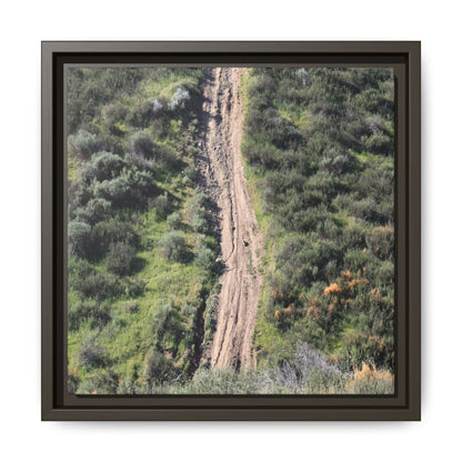 Desert Path Through Sage - Unique Stretched Canvas Wall Art - Art By Earth